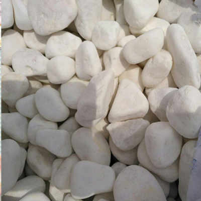 2022臺州園藝白卵石 產品
