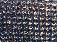 臺州市路橋區(qū)新大陸遮陽網(wǎng)廠